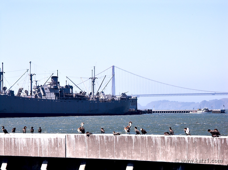 Golden Gate Bridge 3